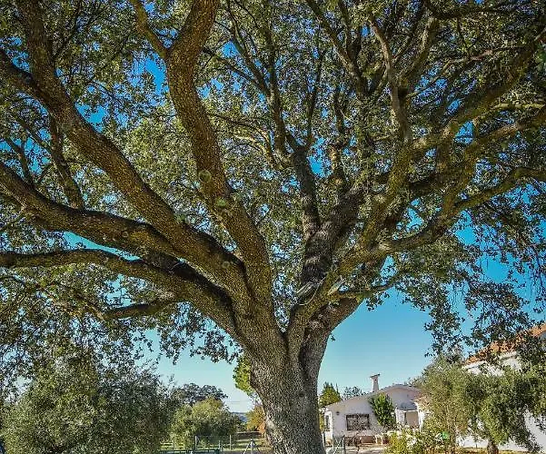 Recreo San Andres Εξοχικό σπίτι Ρόντα