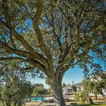 Recreo San Andres Country house Ronda